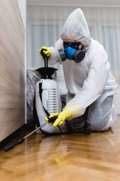 Best Pest Control for Multi-Family Homes  in Hlsboro, IL